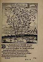  no thumbnail available