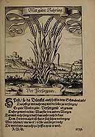  no thumbnail available