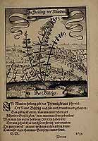  no thumbnail available