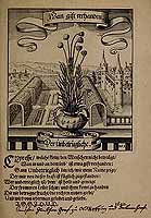  no thumbnail available