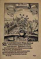  no thumbnail available