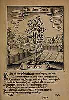  no thumbnail available