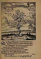  no thumbnail available