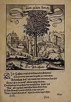  no thumbnail available