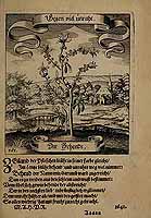  no thumbnail available