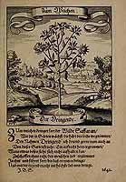  no thumbnail available