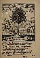  no thumbnail available