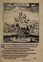  no thumbnail available