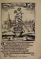  no thumbnail available