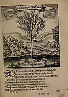  no thumbnail available