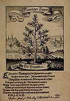  no thumbnail available