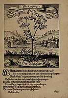  no thumbnail available