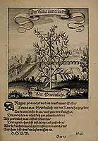  no thumbnail available