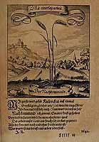  no thumbnail available