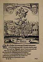  no thumbnail available