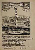  no thumbnail available