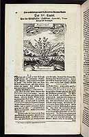  no thumbnail available