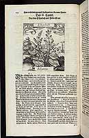  no thumbnail available