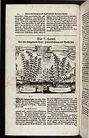  no thumbnail available