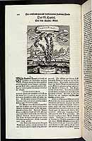  no thumbnail available