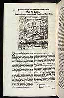  no thumbnail available