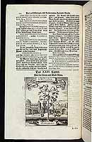  no thumbnail available