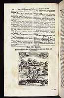  no thumbnail available