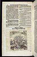  no thumbnail available