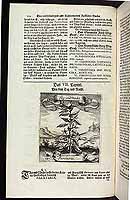  no thumbnail available