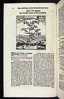  no thumbnail available