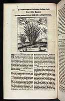  no thumbnail available