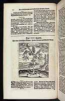  no thumbnail available