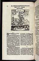  no thumbnail available