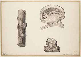  no thumbnail available