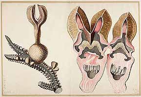  no thumbnail available