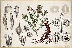  no thumbnail available