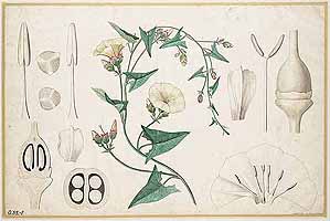  no thumbnail available