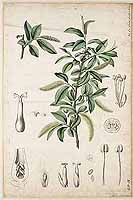  no thumbnail available