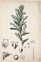  no thumbnail available