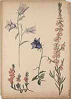  no thumbnail available