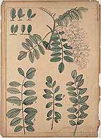  no thumbnail available