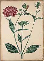  no thumbnail available