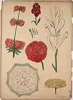  no thumbnail available