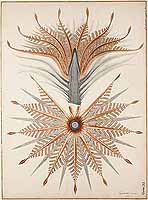  no thumbnail available