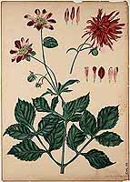  no thumbnail available