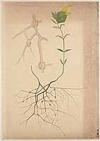  no thumbnail available