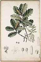  no thumbnail available