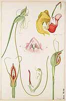  no thumbnail available