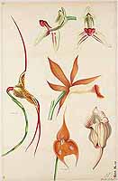  no thumbnail available