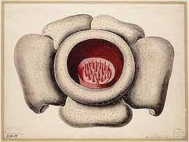  no thumbnail available